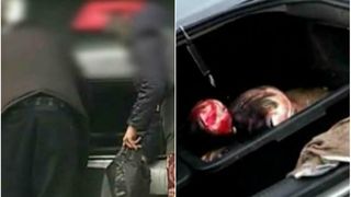 Imaginile revoltatoare, filmate cu o camera ascunsa. Cum se vinde pestele in Romania direct din portbagaj. Comerciantii nu au scrupule