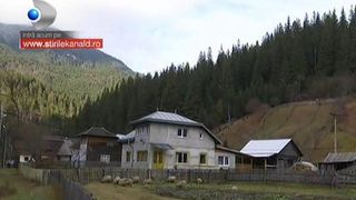 Ciobanii din munti sunt ingroziti. Lupii le decimeaza turmele de oi si se tem ca ii vor ataca si pe ei