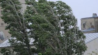 20 de localitati din patru judete din zona Moldovei au ramas fara energie electrica din cauza vantului puternic