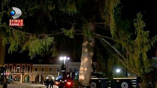 Brasovenii au intrat in atmosfera Sarbatorilor de iarna. Bradul de Craciun si-a ocupat locul din Piata Sfatului. II mai lipsesc doar ornamentele pentru ca "tabloul" sa fie de basm.