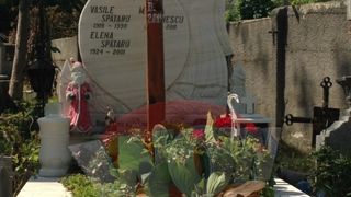 Malina a murit in urma cu 5 ani