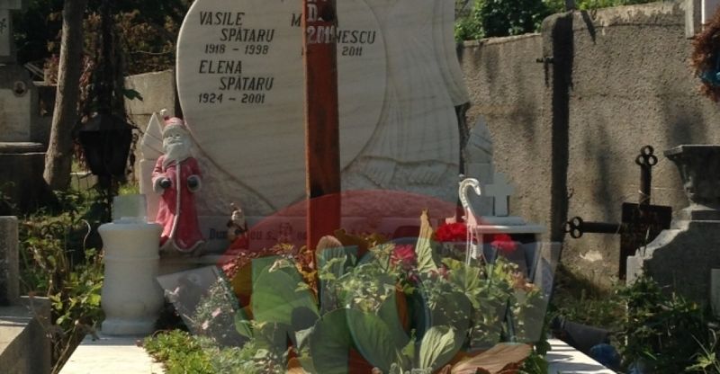 Malina a murit in urma cu 5 ani