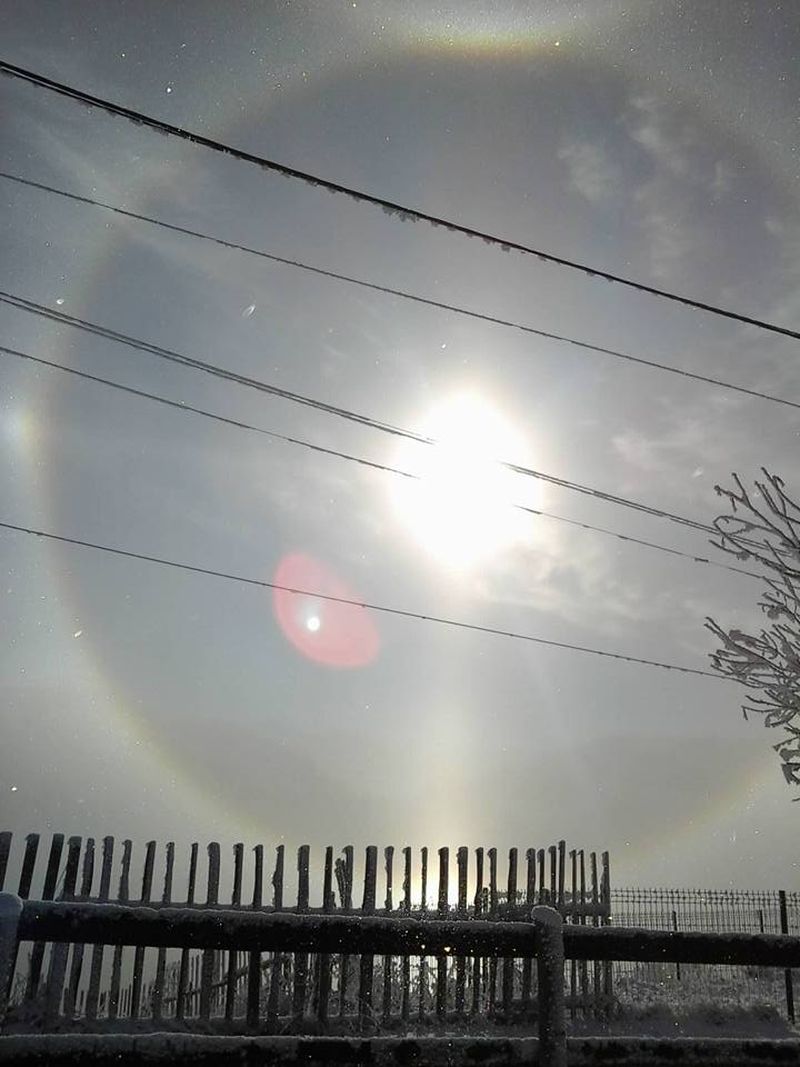 Sursa foto: facebook.com/VilaTomis