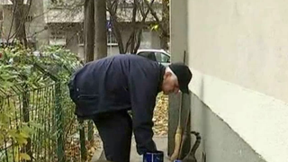 Am scapat de cainii comunitari, dar am fost invadati de pisici. Uite ce se intampla pe strazile din Romania