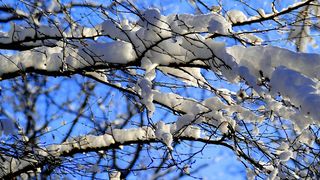 Cum va fi vremea in minivacanta de 1 decembrie. Meteorologii ne avertizeaza ca de maine vremea se va raci simtitor