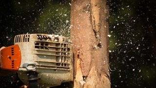 Un barbat din Baia Mare si-a ucis din greseala propriul fiu. Cum s-a petrecut incidentul
