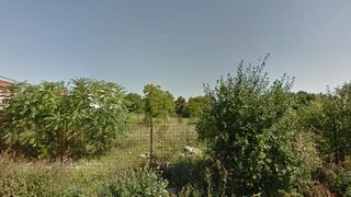 Terenul pe care Elena Udrea a dat 3,27 milioane euro, lasat in paragina! Pretul a scazut de doua ori si jumatate, dar nimeni nu vrea sa-l cumpere!