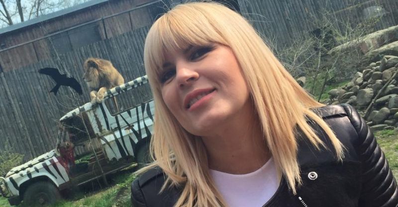 Elena Udrea a cedat terenul si creditul unui tanar afacerist din Bucuresti