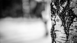 100 de persoane izolate intr-un sat din Apuseni. Drumul de acces este blocat de zapada troienita