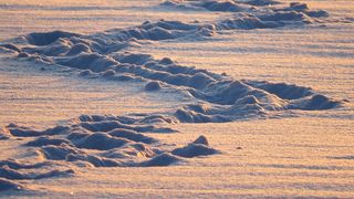 Actiune dificila de salvare a 13 turisti blocati in Retezat din cauza zapezii. Pompierii si jandarmii s-au chinuit 10 ore sa ajunga la ei