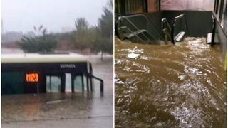 Sursa foto: twitter.com/AnaOrtegaAlh