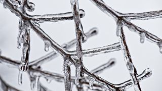 Prognoza meteo pentru aceasta saptamana. Vremea va fi mai rece decat in mod obisnuit, spun meteorologii