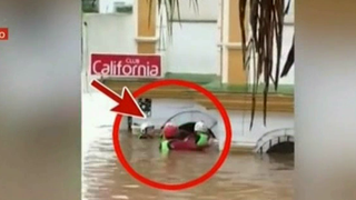 Romanca moarta in Spania, ucisa de patronul ei? Presa catalana face dezvaluiri cutremuratoare