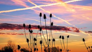 Meteorologii vin cu vesti bune! Vremea se va incalzi. Prognoza meteo pentru vineri si sambata