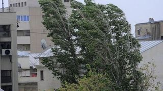 Cod galben de vant in sase judete