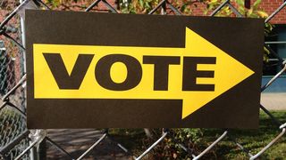 Cu cine au votat romanii din strainatate. Majoritatea au ales PNL si USR