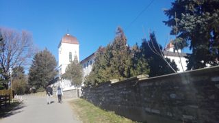 Calugarii de la Cernica vand carne de porc in curtea Manastirii! Costa 10 lei kilogramul – FOTO