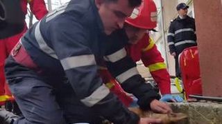 Pompierul erou, in lacrimi. Ce l-a facut sa planga pe omul care a resuscitat cu toate puterile un catelus