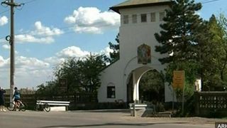 Manastirea Cernica a fost transformata intr-un abator clandestin? Calugarii sacrifica porcii fara sa tina cont de lege