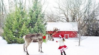 Cum va fi vremea de Craciun si de Revelion. Ne asteapta temperaturi surpriza