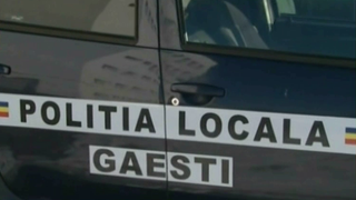 Tupeu fara margini! Cativa hoti din Gaesti au furat bradul din parcul orasului ce urma sa fie impodobit de autoritati