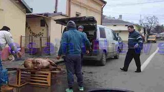 Incredibil! O familie din Botosani a taiat porcul chiar in mijlocul strazii