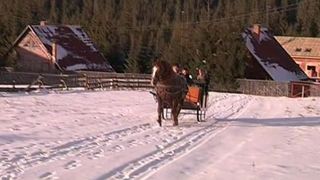 Visati la sarbatori fericite departe de oras? Cat costa un sejur intr-o gura de rai in frumoasa Transilvanie!