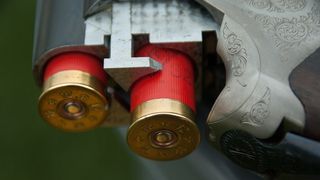 Un barbat a fost impuscat in timp ce participa la o vanatoare de mistreti. Politistii au deschis o ancheta pentru a cerceta daca a fost un accident