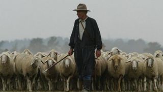 Cum arata declaratia de avere a unui cioban autentic! Un pastor cu numele din buletin al lui Nicolae Guta a vrut sa devina consilier local