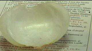 Traditia calendarului de ceapa. Iata cum afla localnicii din Maramurs cum va fi vremea in 2017