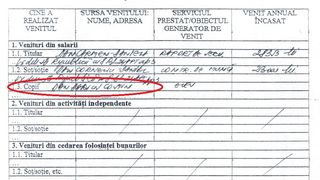 In declaratia de avere a lui Carmen Dan apare numele fiului ei, care in 2011 era inca elev