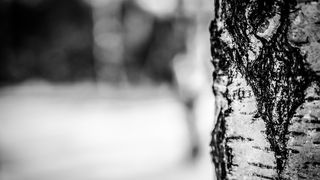 Zece persoane au murit de frig in doua zile in Polonia