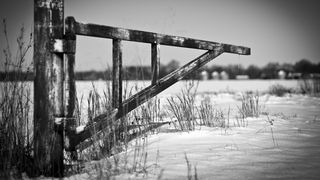 Vaslui: Femeie de 43 de ani, gasita moarta in zapada, in fata portii locuintei sale