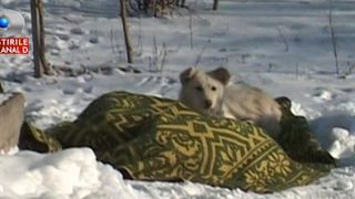 A fost cea mai geroasa dimineata: s-au inregistrat -32 de grade celsius. Un vasluian s-a prabusit in fata casei si a murit din cauza gerului