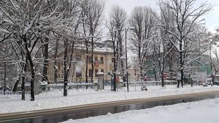 Situatie jenanta pentru PSD! Sediul central al partidului care a trimis-o pe Gabriela Firea in fotoliul de Primar General a ramas inzapezit in aceasta dimineata!