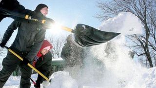 "De ce nu apeleaza doamna Firea la miile de asistati social pe care primariile ii miluiesc lunar?". Traian Basescu, nemultumit de deszapezire