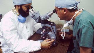 Gripa aviara confirmata in Iasi. Boala a fost descoperita la o lebada din albia raului Prut