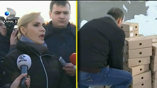 Cum arata adapostul de caini de la Bragadiru. Gabi Firea a mers personal in vizita acolo. Ce a gasit?
