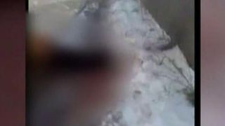 Detalii incredibile despre indivizii din Babadag care au omorat un cal in bataie: au taiat un cal si l-au mancat