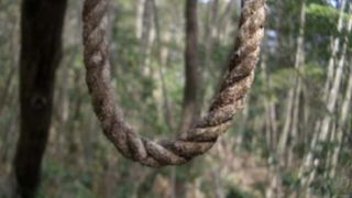 Roman gasit spanzurat intr-o padure din Germania. Fratele lui e convins ca nu s-a sinucis: "La telefonul lui a raspuns un barbat care vorbea in germana cu accent albanez"