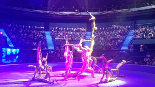 Angajatii Circului Globus se tem ca totul se va duce de rapa fara Victor Coman, managerul demis de Gabriela Firea dupa incendiul in care au murit 11 animale. Ce spune primarul Capitalei