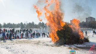 Gafa monumentala a primarului Mutu, care i-a enervat cumplit pe activistii pentru mediu! A facut concurs de aruncat brazi naturali, dupa care le-a dat foc!