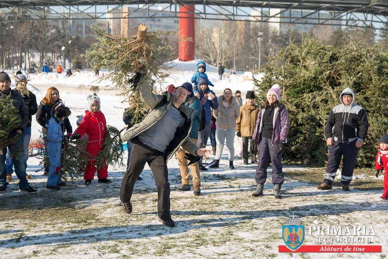 Bucurestenii au aruncat cu brazi, in parc