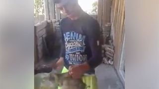 Imagini greu de suportat. Un baiat loveste cu brutalitate o pisica