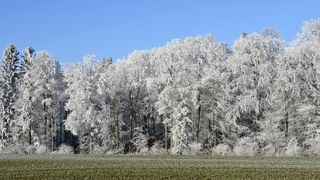 Nu vom avea vara in 2017? Acest fenomen a mai avut loc in 1816: "Vom trece printr-o perioada de transformari generale"