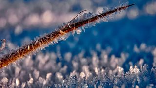 Cod galben de ger in Bucuresti si 21 de judete. Temperaturile minime vor ajunge la -22 de grade