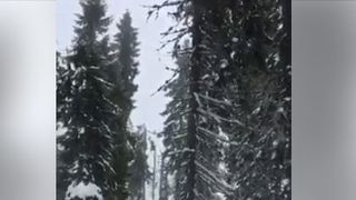 Asa arata locul tragediei, acum, in ianuarie 2017