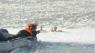 Stirile Kanal D, ora 12.00: Un caine a fost salvat pe ultima suta de metri de pompierii din Timis, dupa ce a stat zeci de minute in apele inghetate