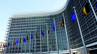 Comisia Europeana critica ordonantele de gratiere si de modificare ale Codurilor Penale