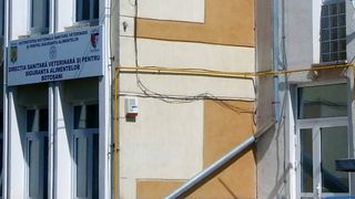 Angajata a DSVSA Botosani gasita moarta in toaleta institutiei. Politistii au deschis o ancheta